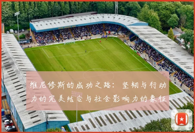 维尼修斯的成功之路：坚韧与行动力的完美结合与社会影响力的象征