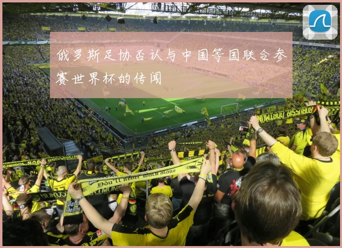 俄罗斯足协否认与中国等国联合参赛世界杯的传闻